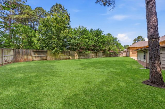 19 S Sandbells Park Lane, Montgomery, TX 77316