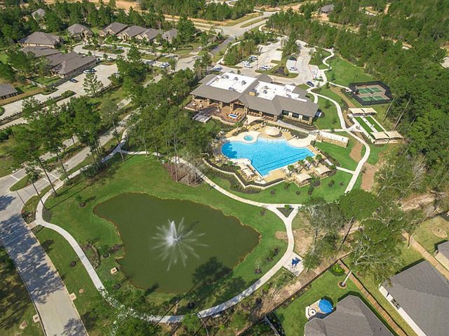 19 S Sandbells Park Lane, Montgomery, TX 77316