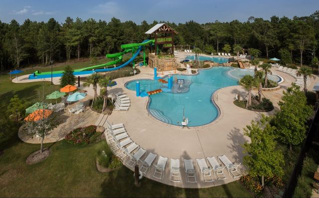 19 S Sandbells Park Lane, Montgomery, TX 77316