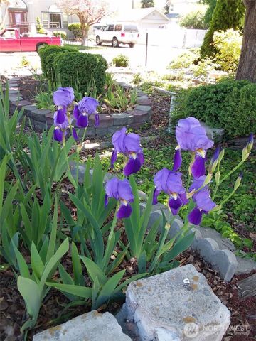 106 N Franklin Avenue, Wenatchee, WA 98801