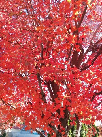 106 N Franklin Avenue, Wenatchee, WA 98801