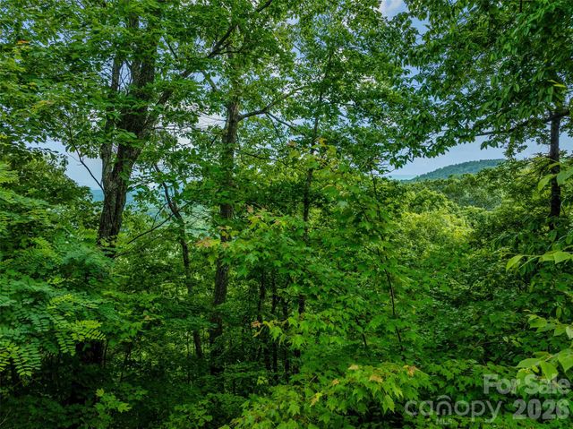 00 Locust Grove Road 2, Hendersonville, NC 28792