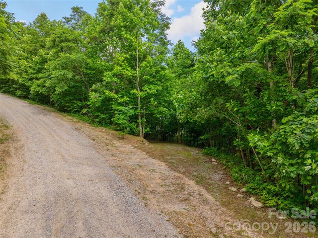 00 Locust Grove Road 2, Hendersonville, NC 28792