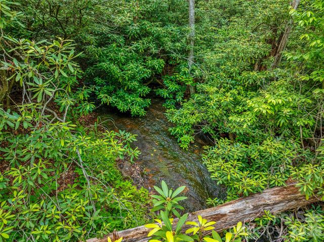 00 Locust Grove Road 2, Hendersonville, NC 28792