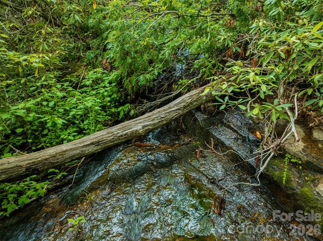 00 Locust Grove Road 2, Hendersonville, NC 28792