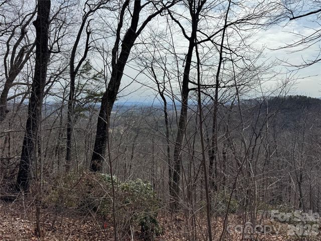 00 Locust Grove Road 2, Hendersonville, NC 28792