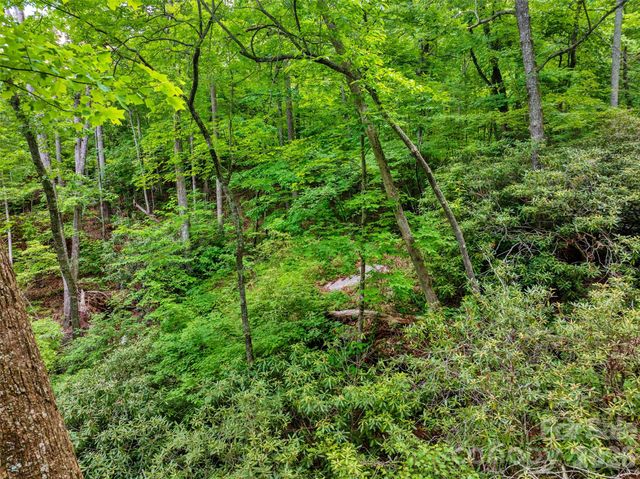 00 Locust Grove Road 2, Hendersonville, NC 28792