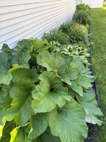 1450 Elmwood Court, West Fargo, ND 58078