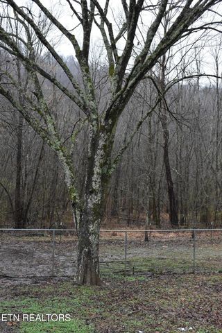 5202 Millet Lane, Knoxville, TN 37918