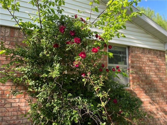 404 Michael Street, Springdale, AR 72764