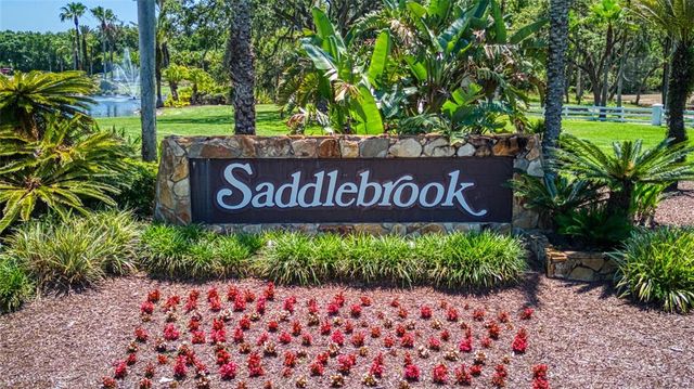 29903 BAYWOOD LANE, Wesley Chapel, FL 33543