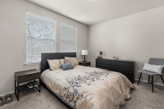 1602 Big Thicket DR, Cedar Park, TX 78613