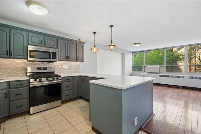 3950 N Lake Shore Drive 205A, Chicago, IL 60613