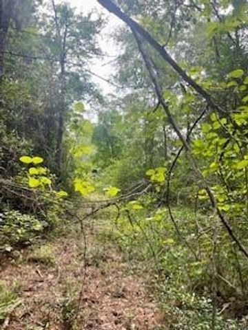 LOT 8 BLOCK 22 Lonestar Road, Huntsville, TX 77340