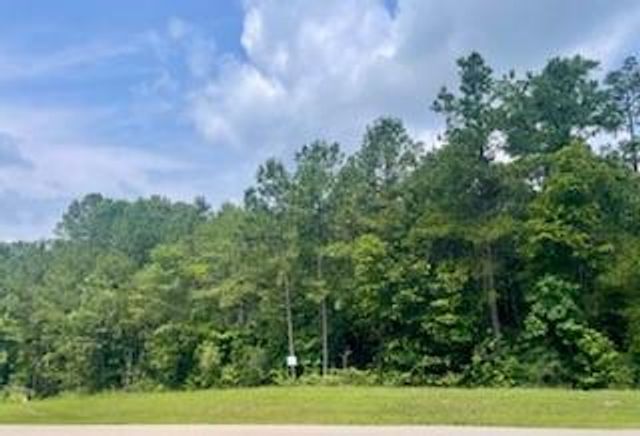 LOT 8 BLOCK 22 Lonestar Road, Huntsville, TX 77340