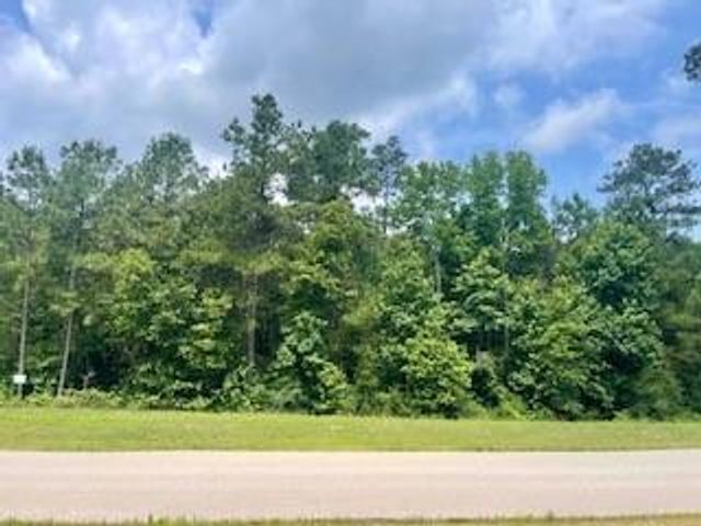 LOT 8 BLOCK 22 Lonestar Road, Huntsville, TX 77340
