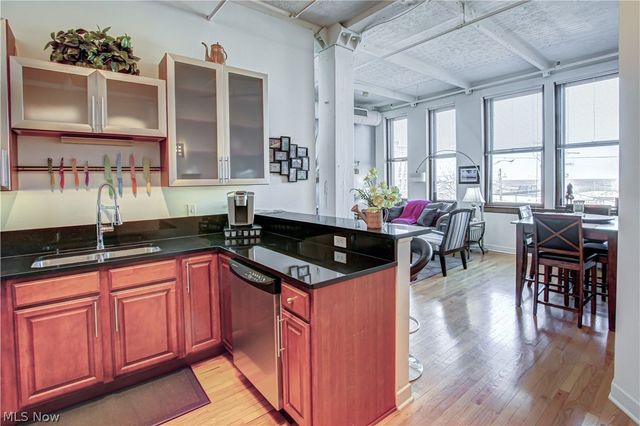 1133 W 9th Street 206, Cleveland, OH 44113