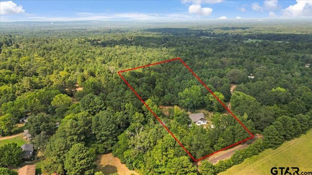 18680 County Road 352, Winona, TX 75792