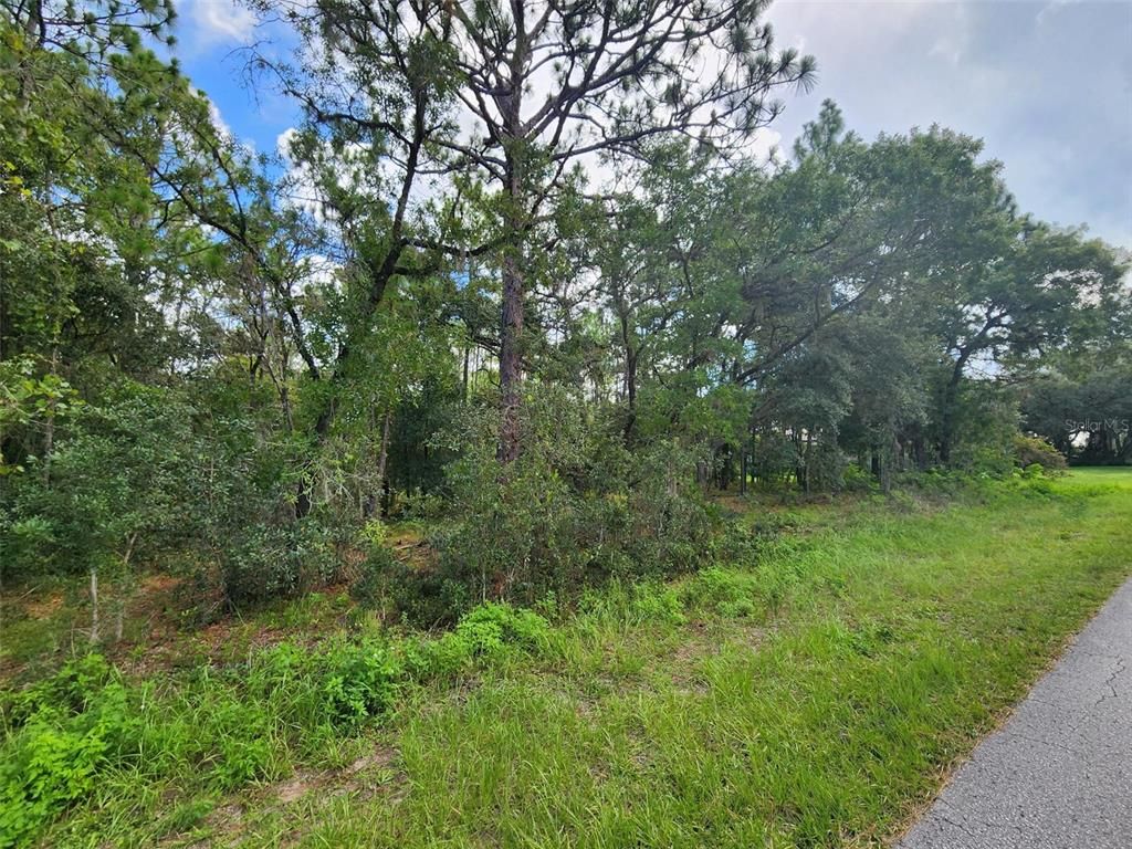 579 W OLYMPIA STREET, Hernando, FL 34442