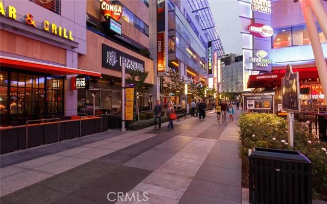 1100 S Hope Street 1213, Los Angeles, CA 90015