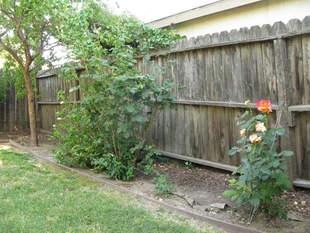 2510 Atlas Ave, Sacramento, CA 95820