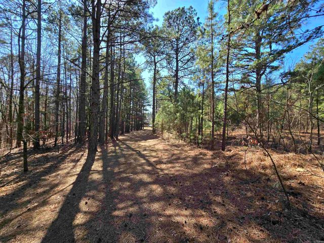 225 Dogwood Trail, Quitman, AR 72131