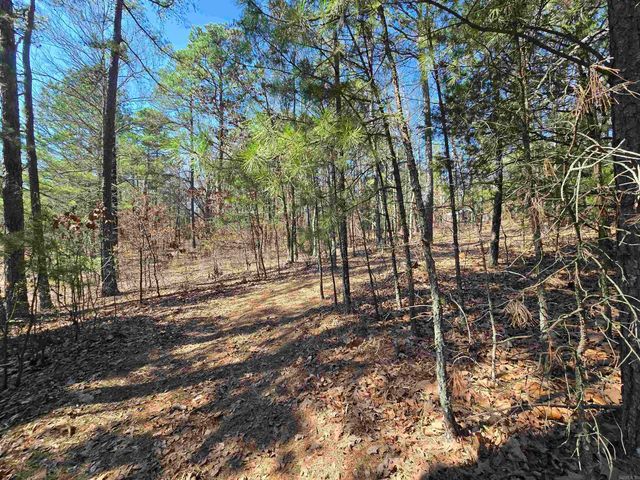 225 Dogwood Trail, Quitman, AR 72131