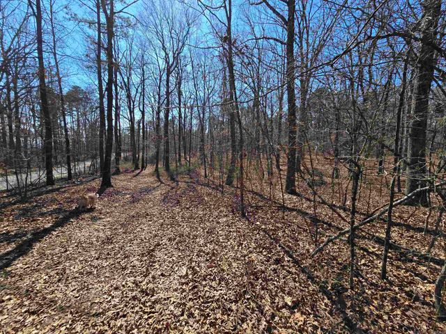 225 Dogwood Trail, Quitman, AR 72131
