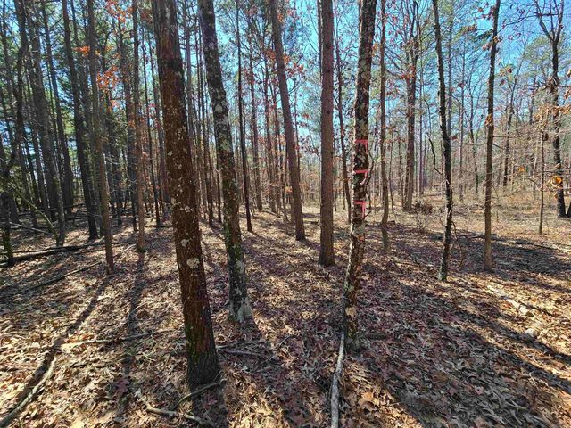 225 Dogwood Trail, Quitman, AR 72131