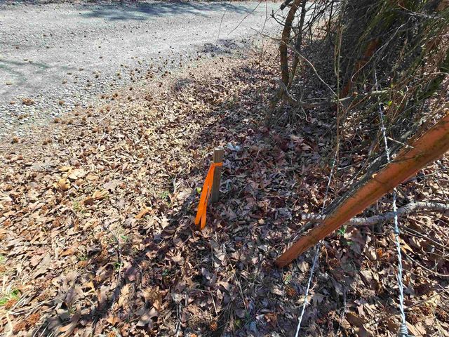 225 Dogwood Trail, Quitman, AR 72131