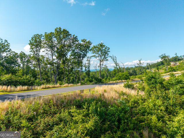 LOT 234 Highgrove Drive, Talking Rock, GA 30175
