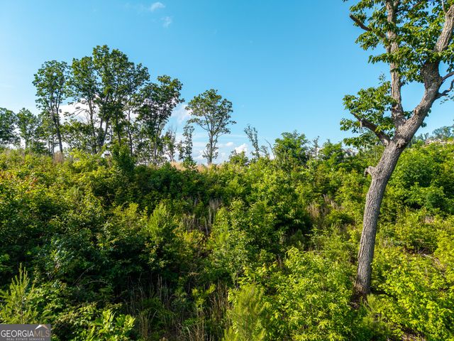 LOT 234 Highgrove Drive, Talking Rock, GA 30175