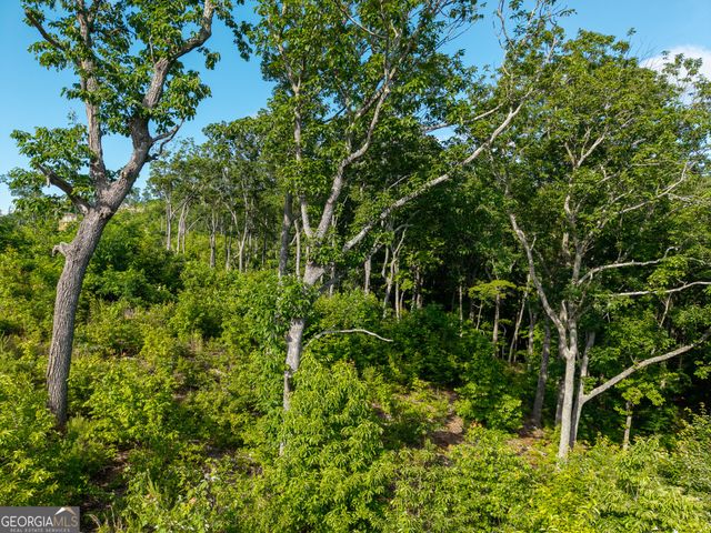 LOT 234 Highgrove Drive, Talking Rock, GA 30175