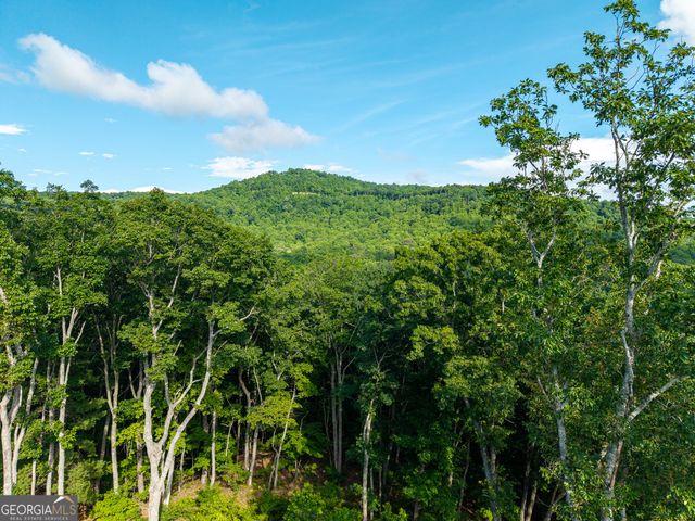 LOT 234 Highgrove Drive, Talking Rock, GA 30175
