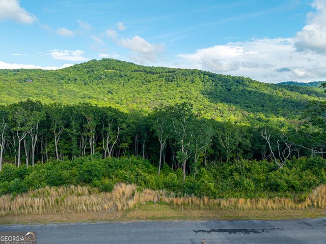 LOT 234 Highgrove Drive, Talking Rock, GA 30175