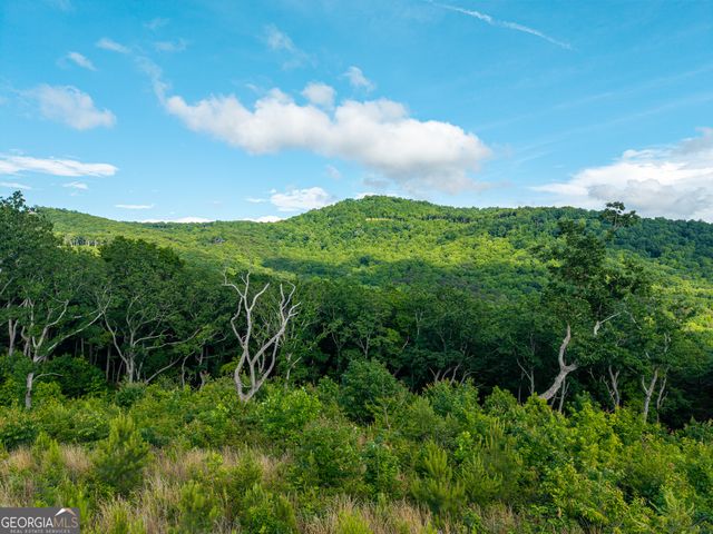 LOT 234 Highgrove Drive, Talking Rock, GA 30175