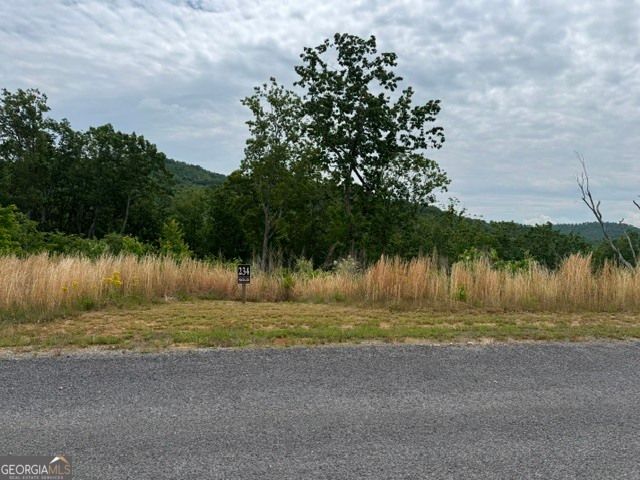 LOT 234 Highgrove Drive, Talking Rock, GA 30175