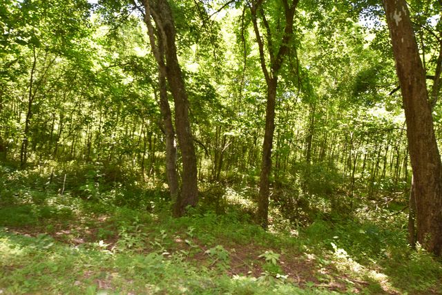 66 Leisure Lane, Olympia, KY 40358
