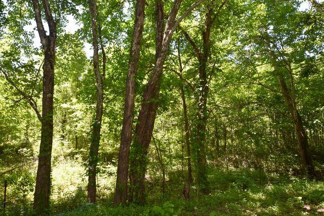 66 Leisure Lane, Olympia, KY 40358