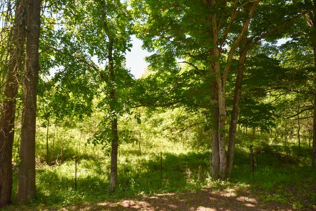 66 Leisure Lane, Olympia, KY 40358