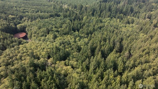 1417 Stanford Drive, Cosmopolis, WA 98537