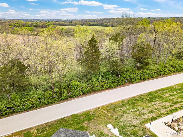 1007 Hawk Ridge Drive, Union, MO 63084