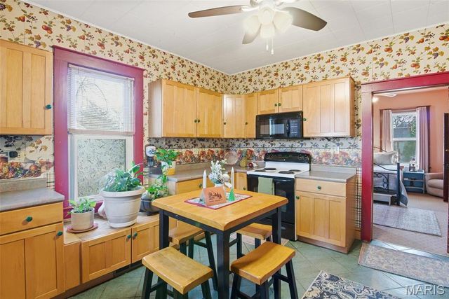 203 E Mill Street E, Waterloo, IL 62298