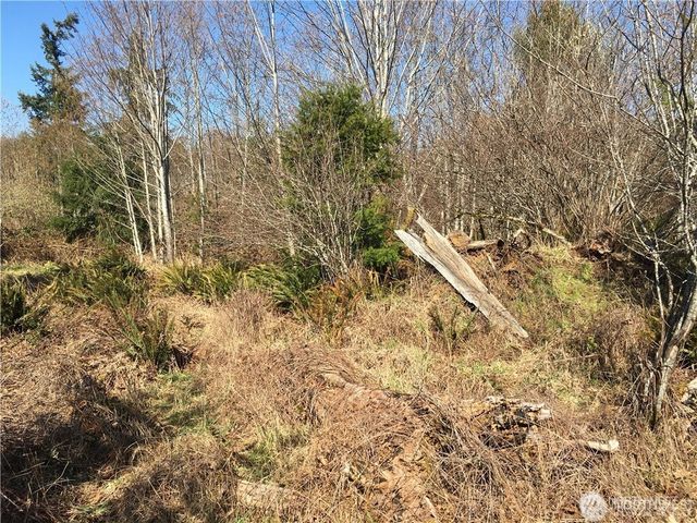 0 Summit Lake Road NW, Olympia, WA 98502