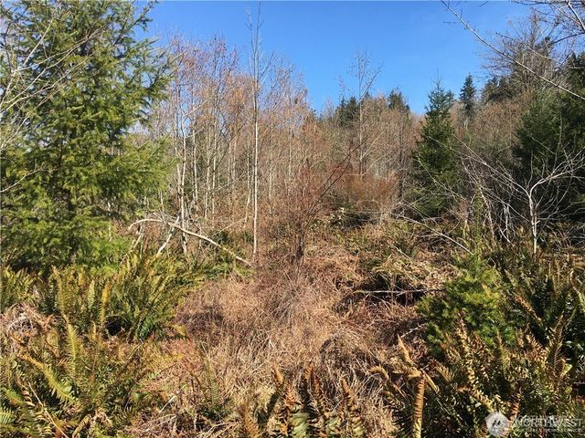 0 Summit Lake Road NW, Olympia, WA 98502