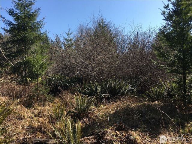 0 Summit Lake Road NW, Olympia, WA 98502