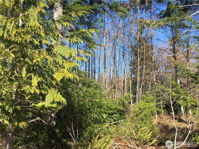 0 Summit Lake Road NW, Olympia, WA 98502