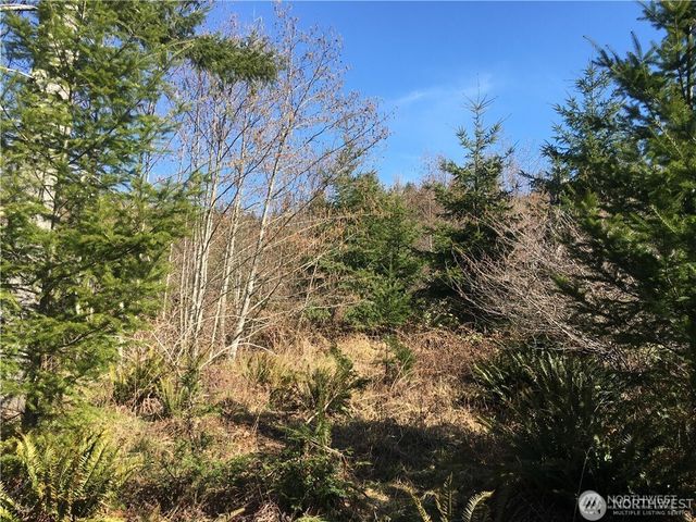 0 Summit Lake Road NW, Olympia, WA 98502