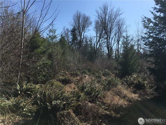 0 Summit Lake Road NW, Olympia, WA 98502