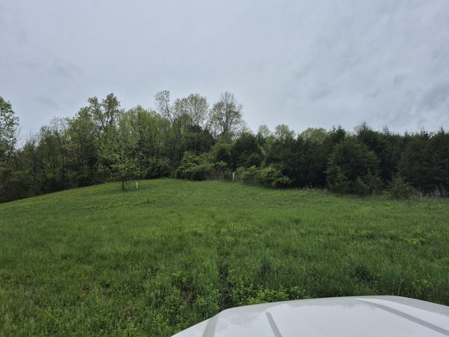 2572 Holt Woods Road, Reeds Spring, MO 65737